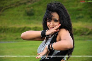 Trisha Photo Gallery