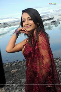 Trisha Photo Gallery