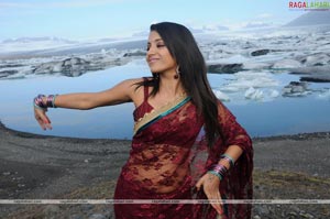 Trisha Photo Gallery