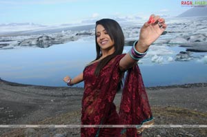 Trisha Photo Gallery