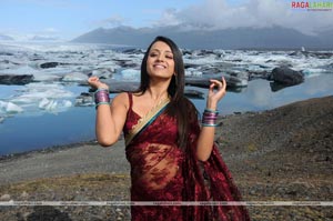 Trisha Photo Gallery