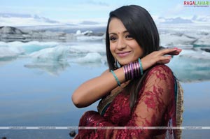 Trisha Photo Gallery