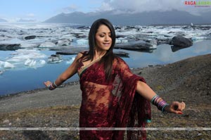 Trisha Photo Gallery