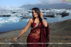 Trisha Photo Gallery