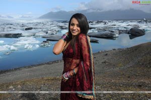 Trisha Photo Gallery