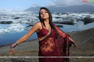 Trisha Photo Gallery