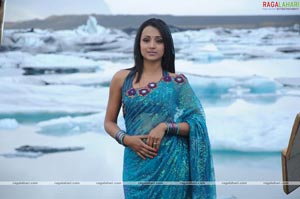 Trisha Photo Gallery