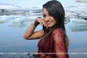 Trisha Photo Gallery