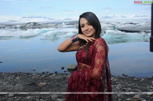 Trisha Photo Gallery