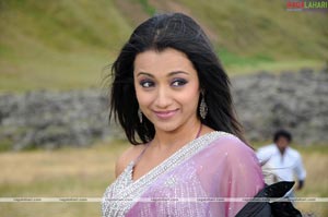 Trisha Photo Gallery