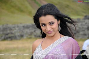 Trisha Photo Gallery