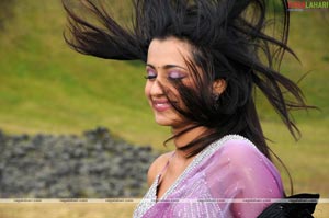 Trisha Photo Gallery