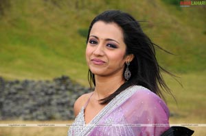 Trisha Photo Gallery