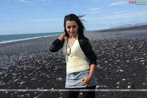 Trisha Photo Gallery