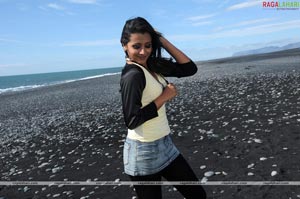 Trisha Photo Gallery