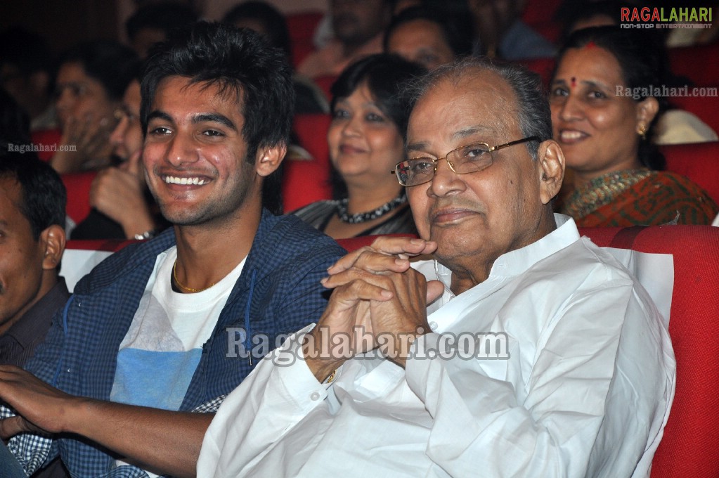 Big FM Telugu Movie Awards 2011