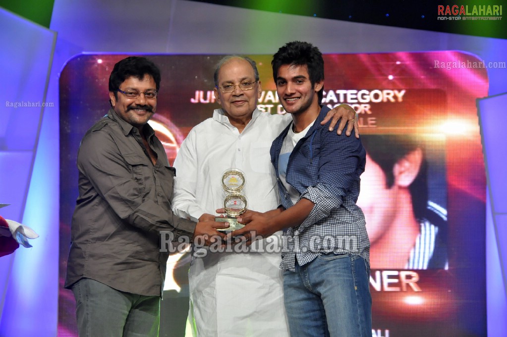 Big FM Telugu Movie Awards 2011