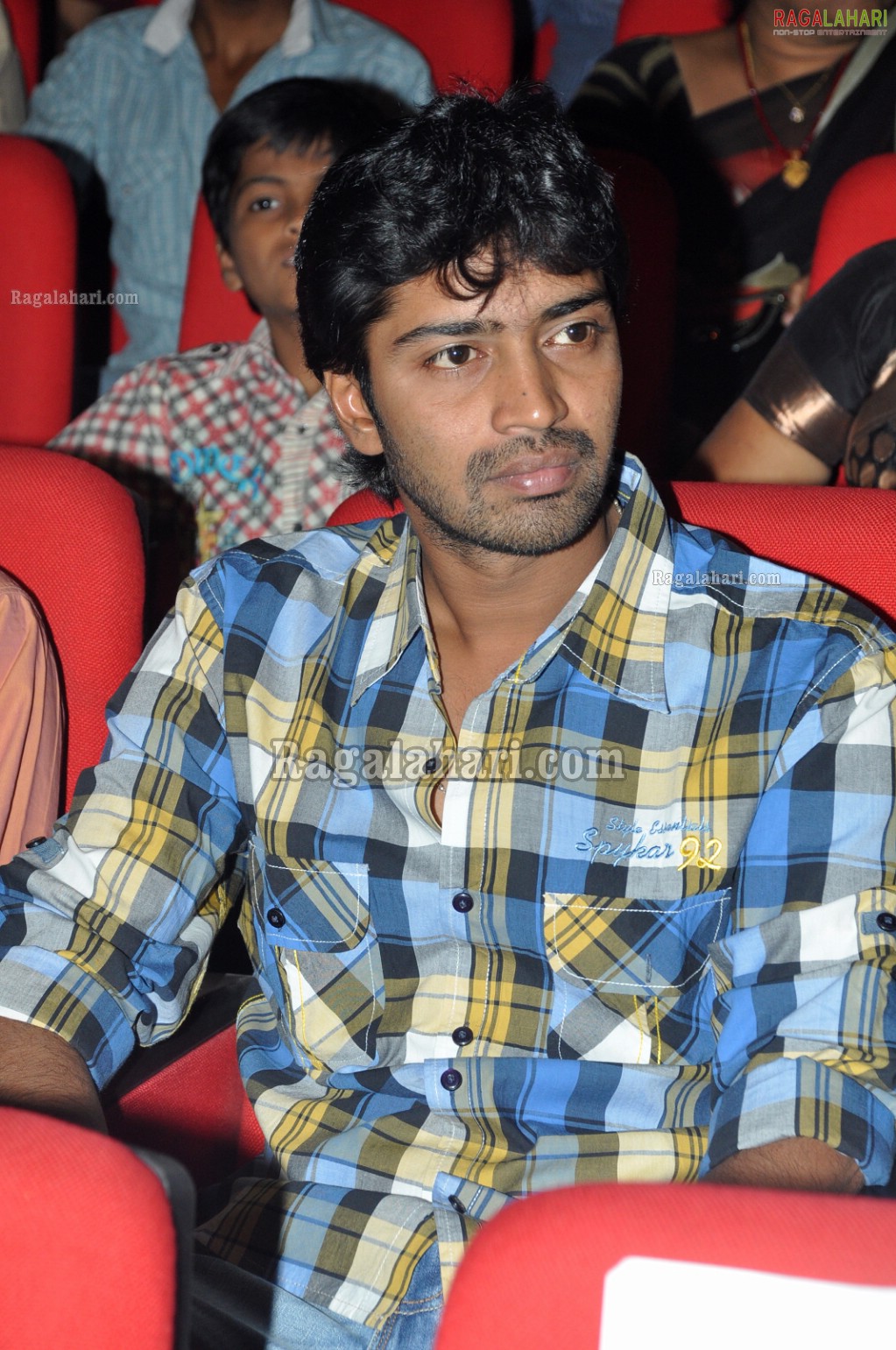 Big FM Telugu Movie Awards 2011