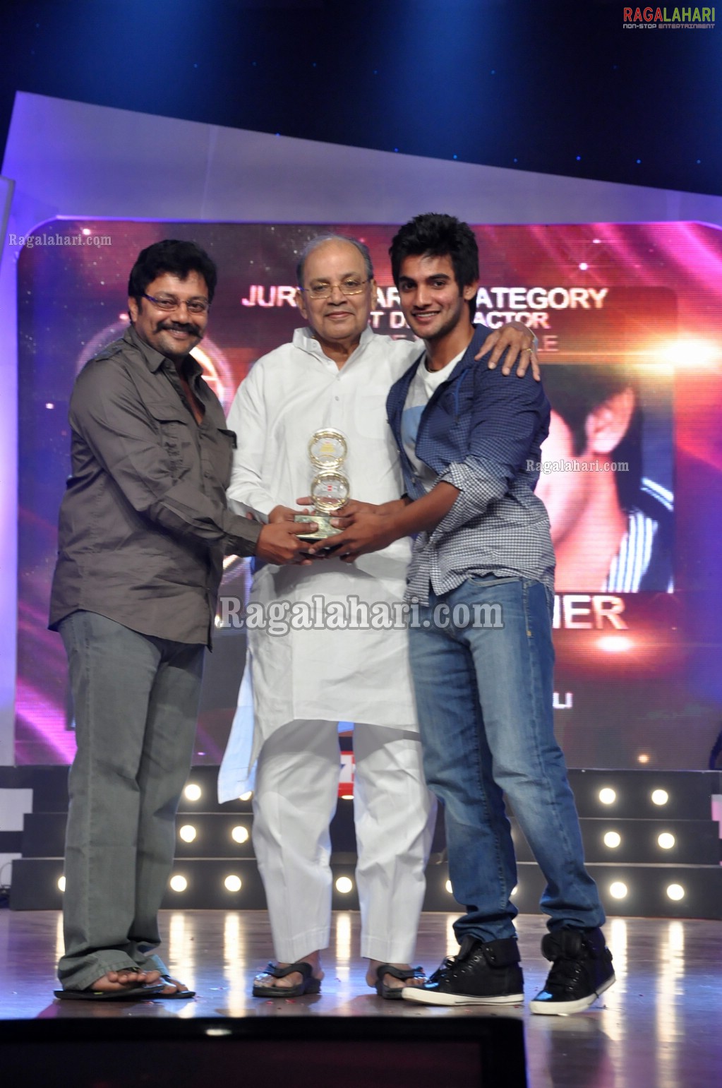 Big FM Telugu Movie Awards 2011