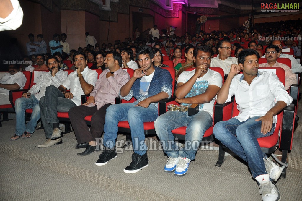 Big FM Telugu Movie Awards 2011