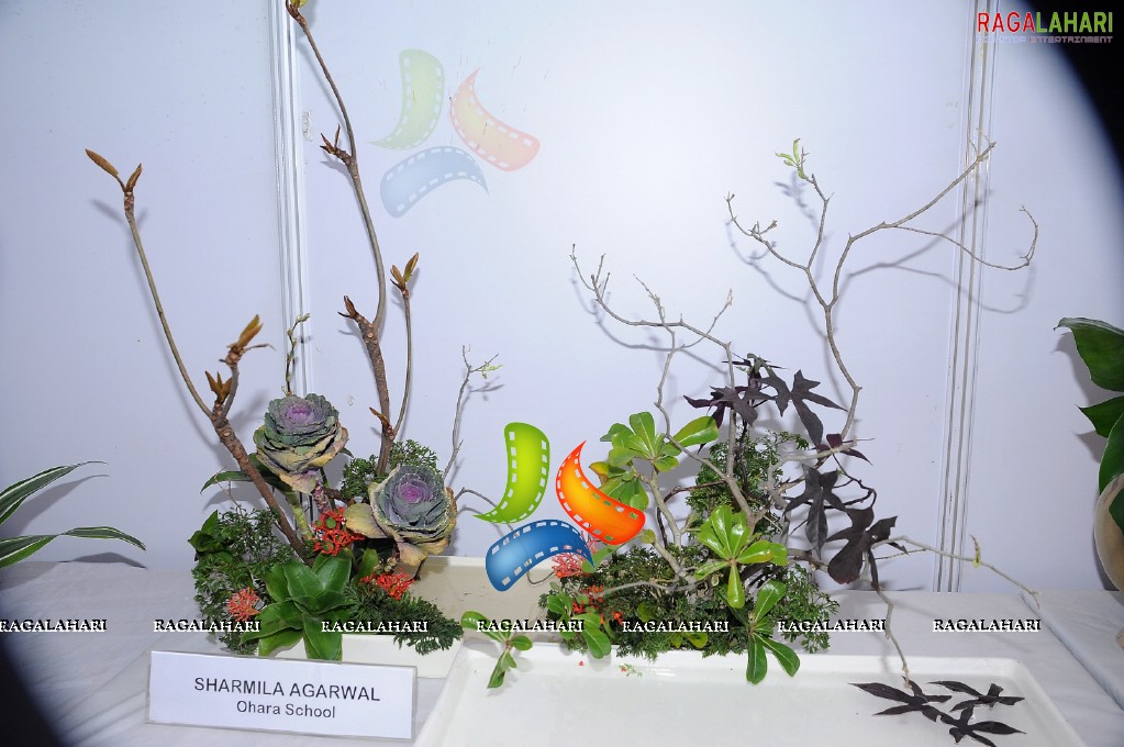 Horti Expo 2011