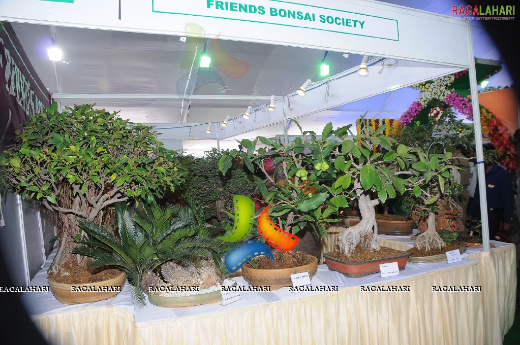 Horti Expo 2011