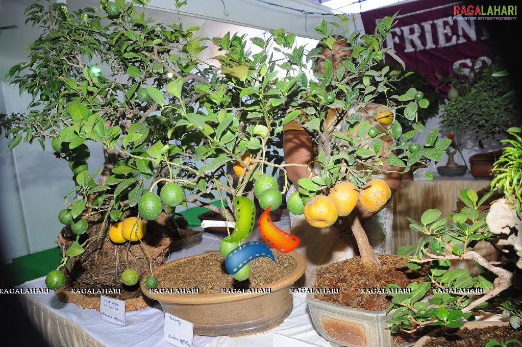 Horti Expo 2011