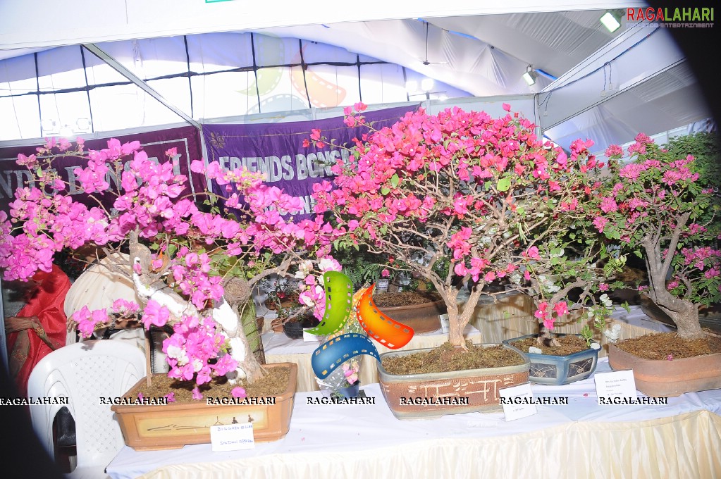 Horti Expo 2011