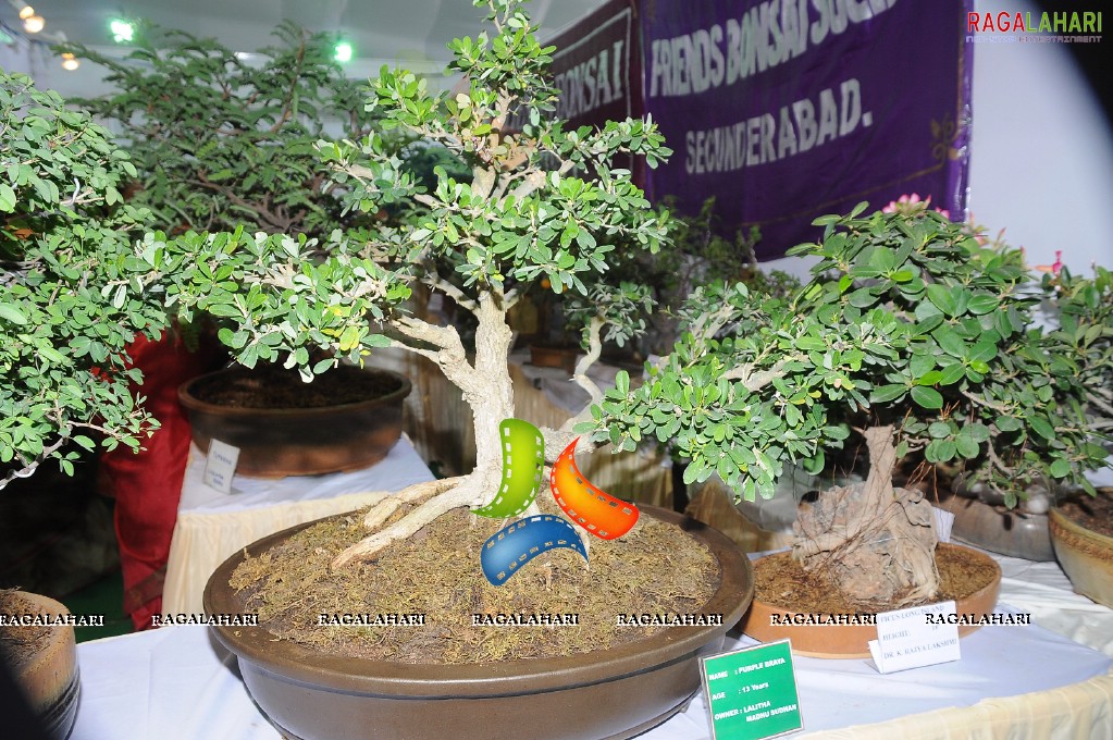 Horti Expo 2011