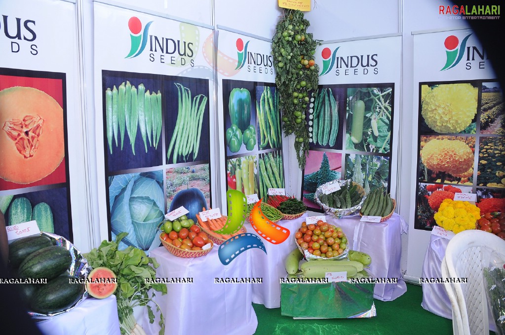 Horti Expo 2011