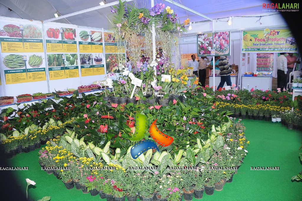 Horti Expo 2011