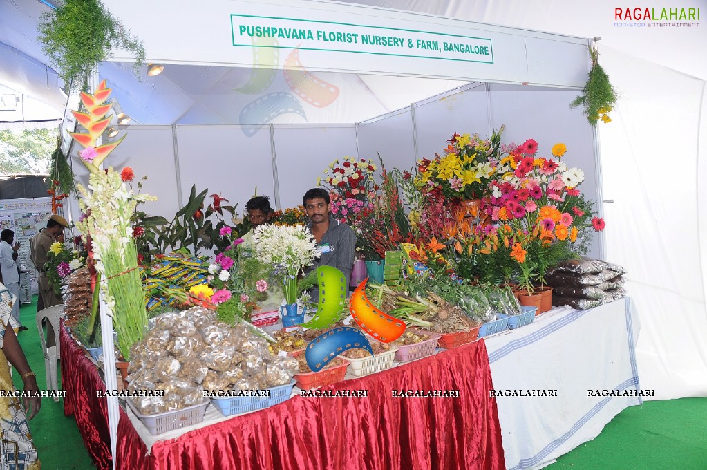 Horti Expo 2011