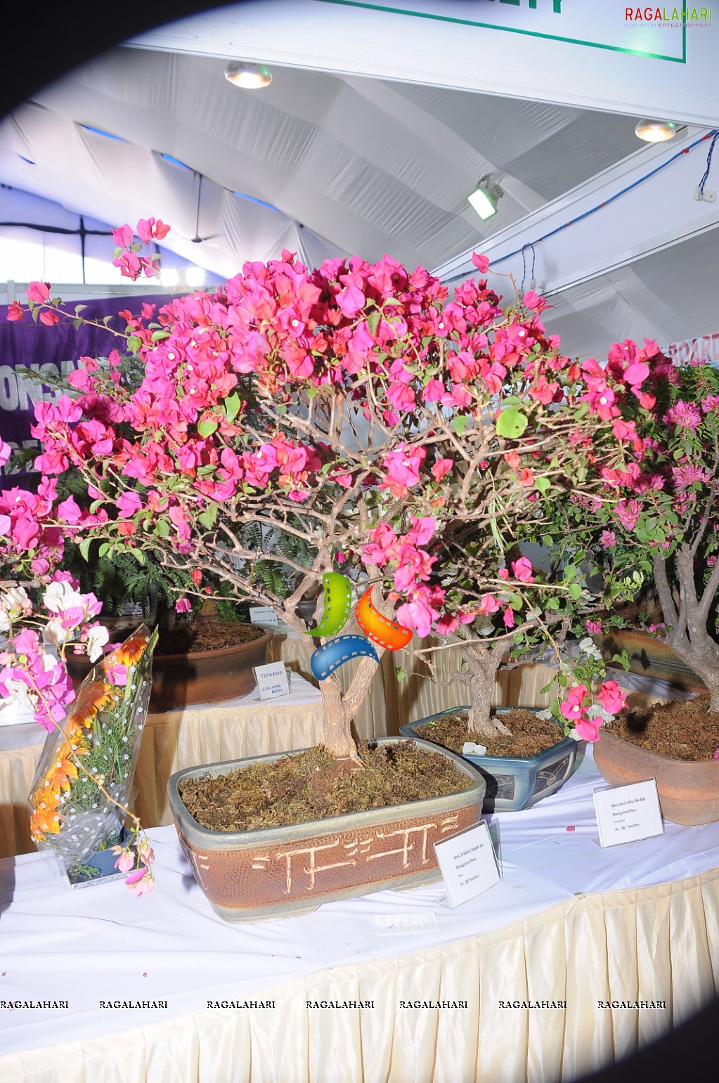 Horti Expo 2011