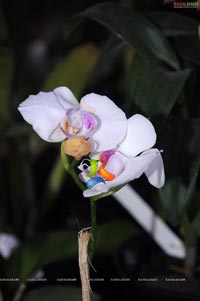 Horti Expo 2011 - Kiran Kumar Reddy