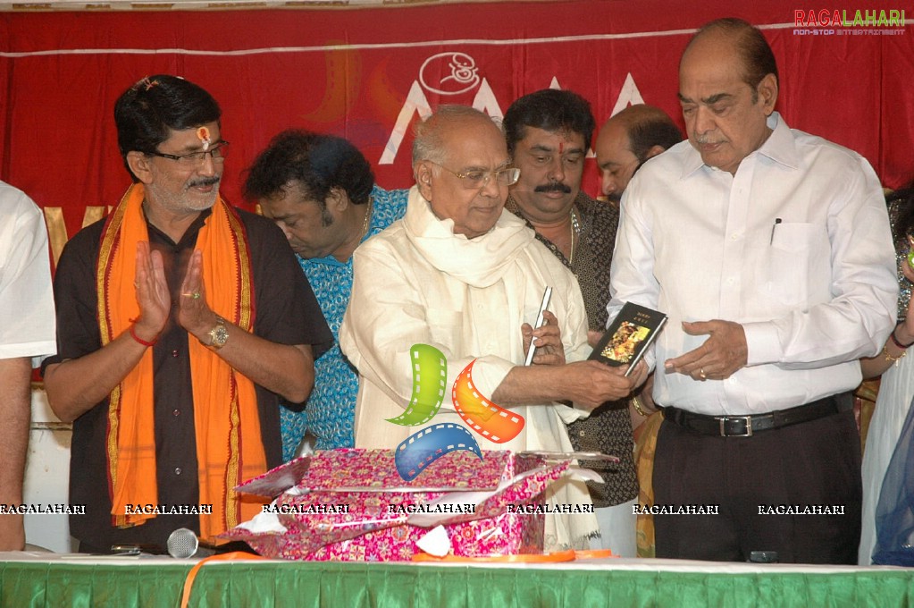 MAA 2011 Diary Launch