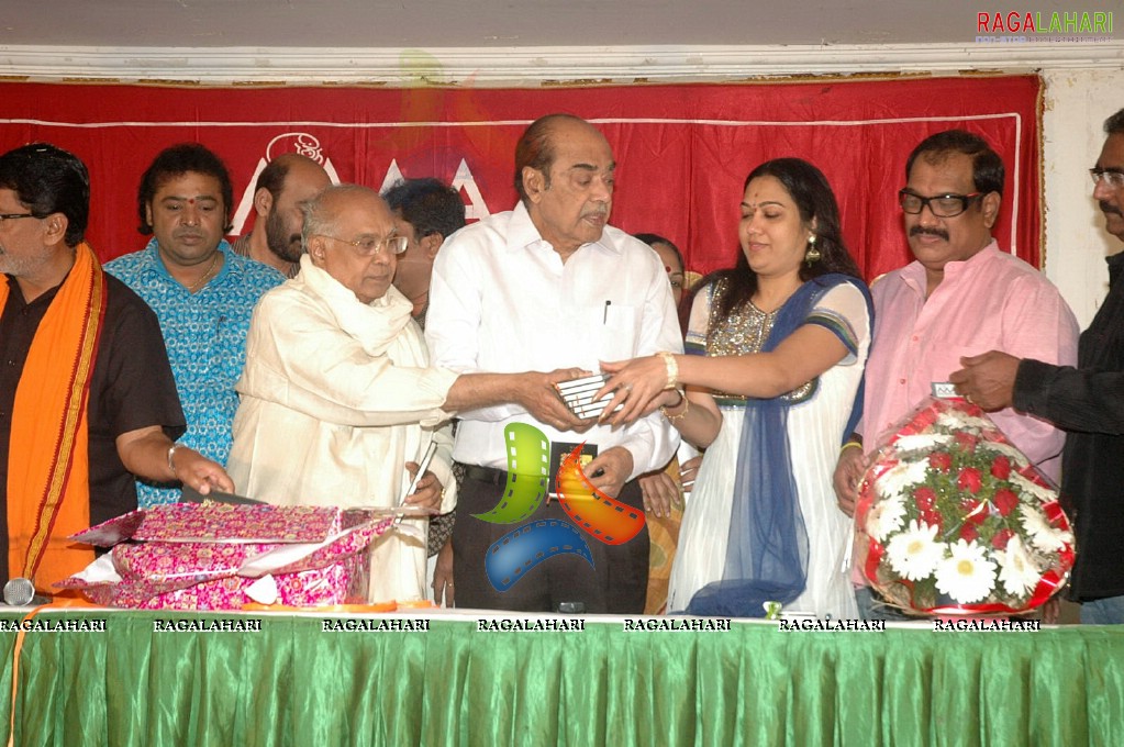 MAA 2011 Diary Launch