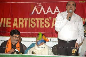 Maa Dairy 2011