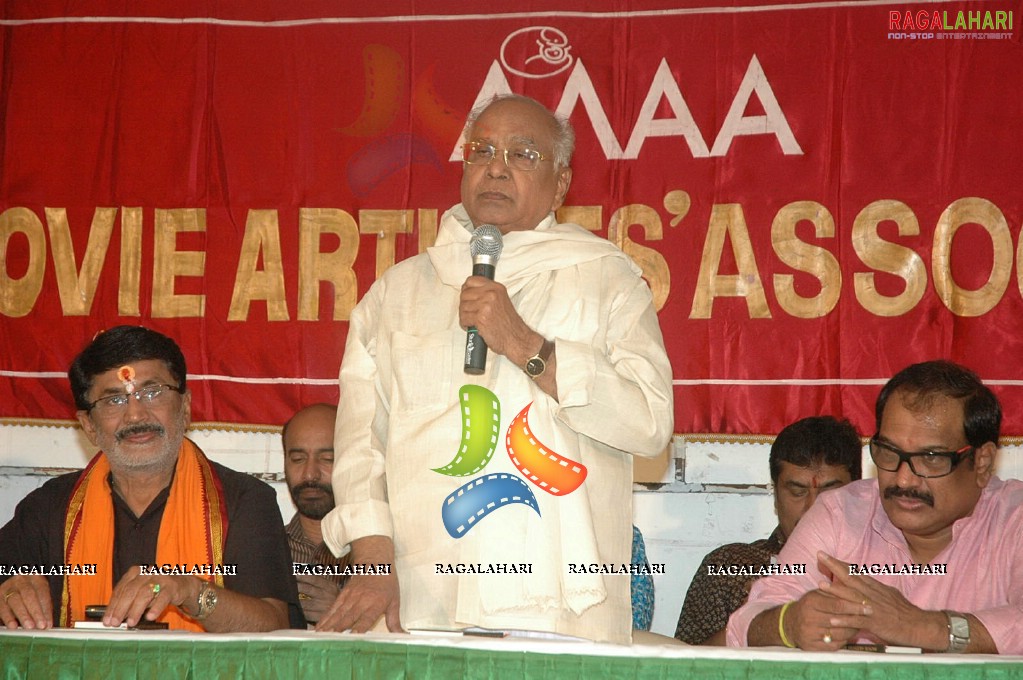 MAA 2011 Diary Launch