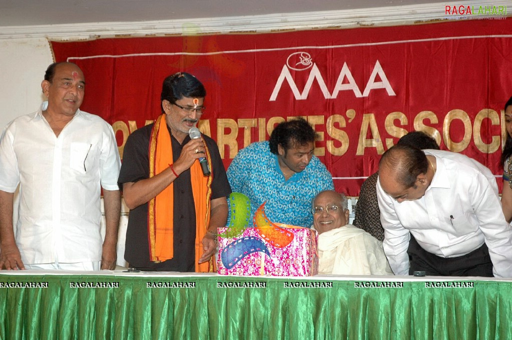 MAA 2011 Diary Launch