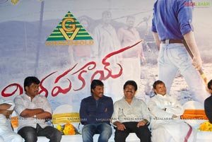 Mirapakai Triple Platinum Disc Function