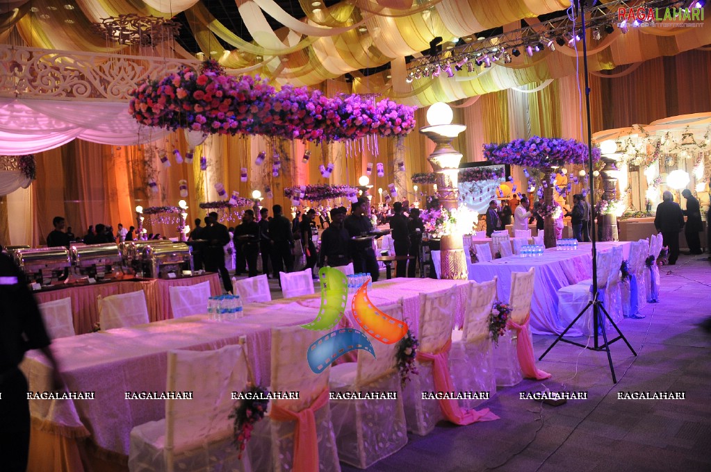 Himanshu-Sneha Reception