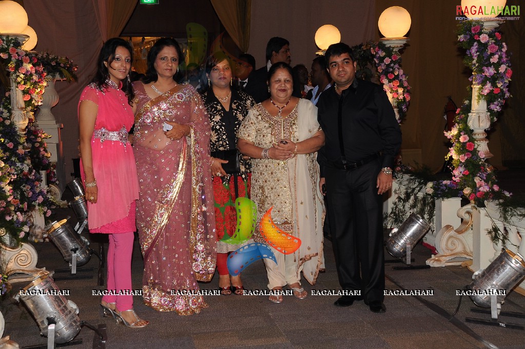 Himanshu-Sneha Reception