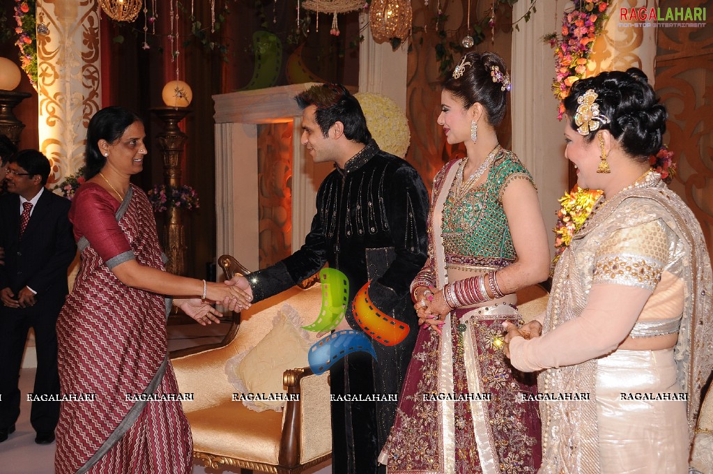 Himanshu-Sneha Reception