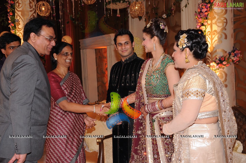 Himanshu-Sneha Reception