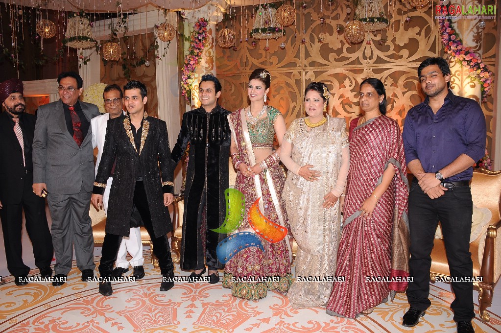 Himanshu-Sneha Reception