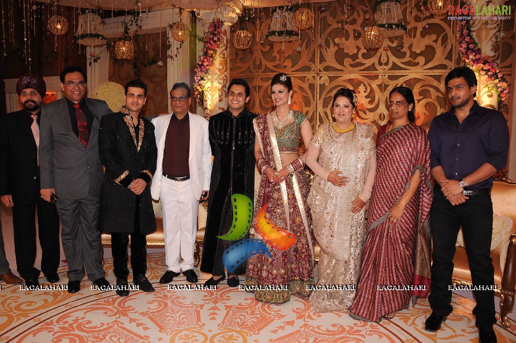 Himanshu-Sneha Reception