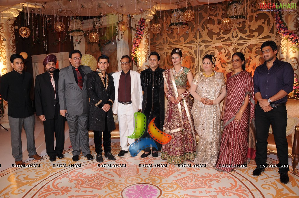 Himanshu-Sneha Reception