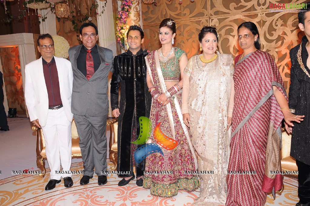 Himanshu-Sneha Reception