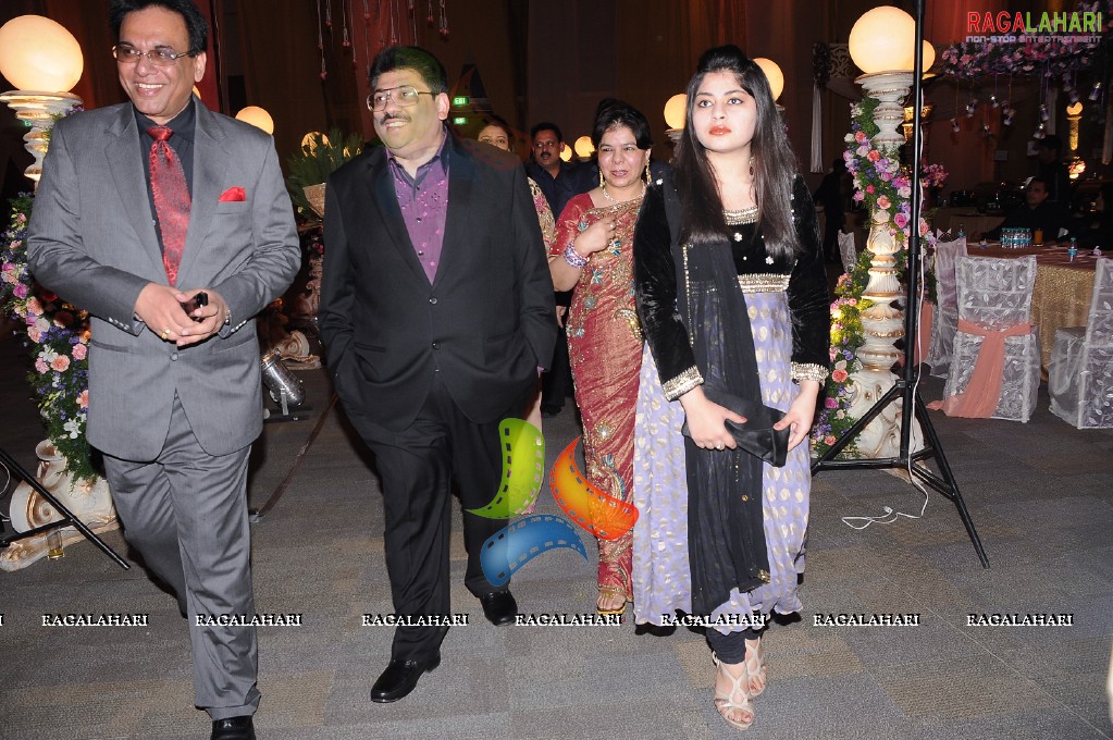 Himanshu-Sneha Reception