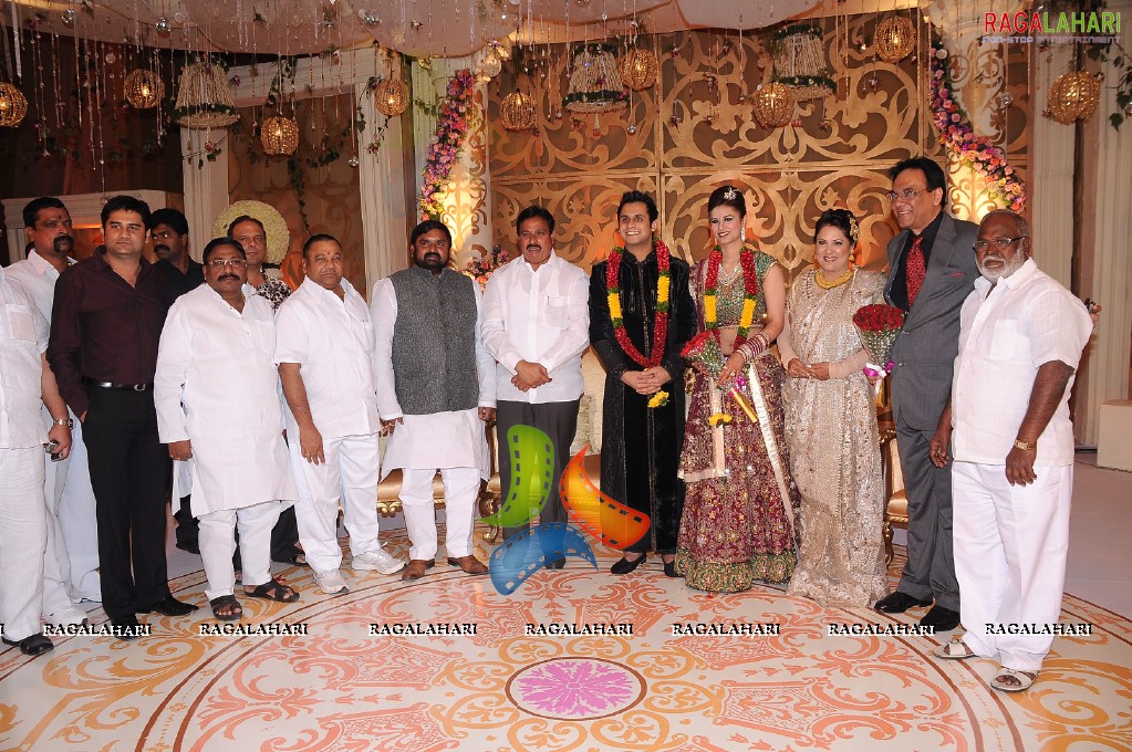 Himanshu-Sneha Reception